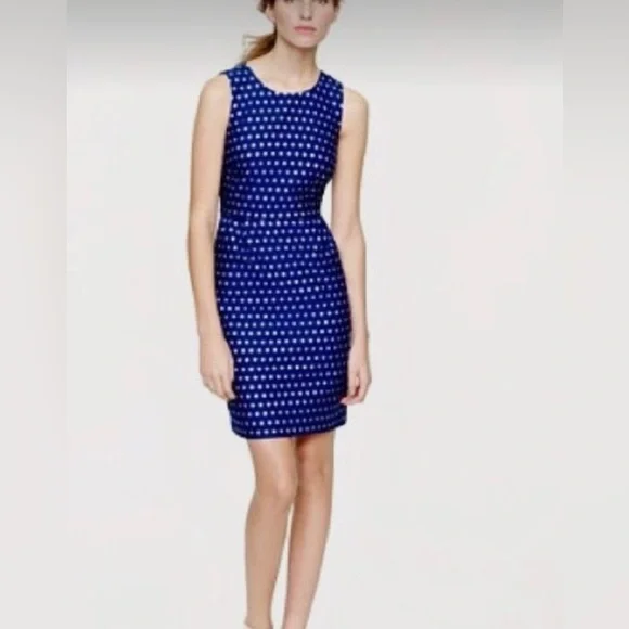 j crew blue polka dot dress J. Crew Collection Cecily Dress Polka Dot Poplin Womens 2 Blue Puffer Sleeve NWT